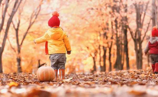 Kinder gehen in der Natur spazieren. Zwielichtige Kinder laufen herum — Stockfoto