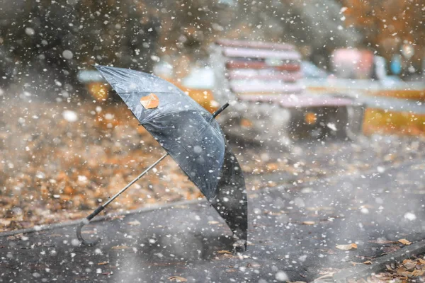Parco autunnale nella prima neve — Foto Stock