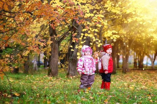 Çocuklar Sonbahar Parkında Yürüyüş Yaparken Eğleniyorlar — Stok fotoğraf