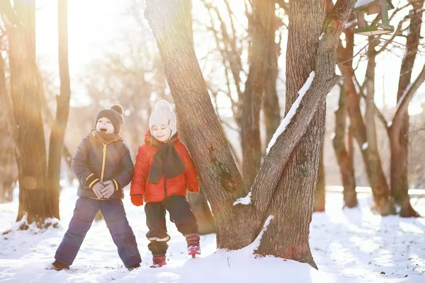 Crianças no parque de inverno jogar — Fotografia de Stock