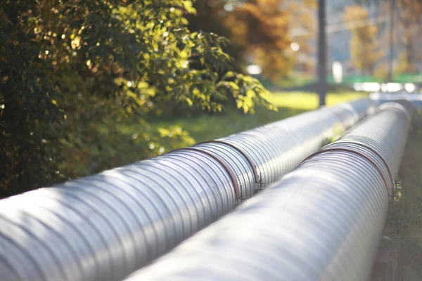 Parkta sonbahar arka plan