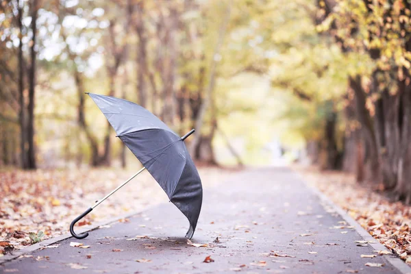 Autunno parco pluviale nel mese di ottobre — Foto Stock