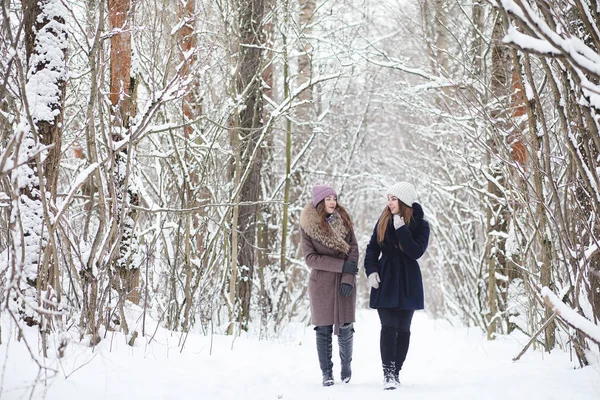 Uma menina em um parque de inverno em uma caminhada. Festas de Natal em t — Fotografia de Stock