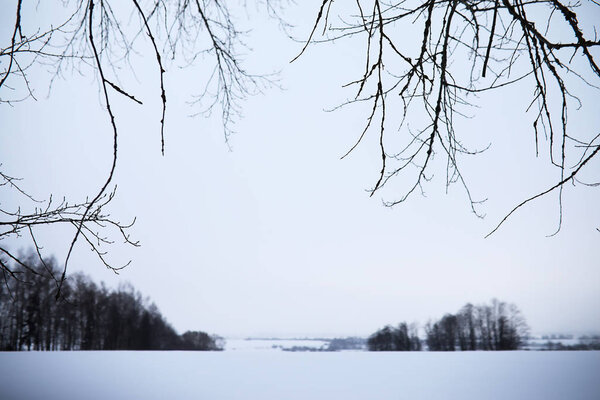 Зимний пейзаж сельских полей и дорог
