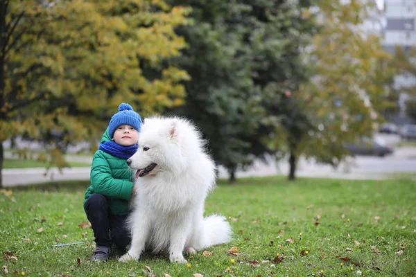 Precioso Chico Paseo Con Hermoso Perro — Foto de Stock