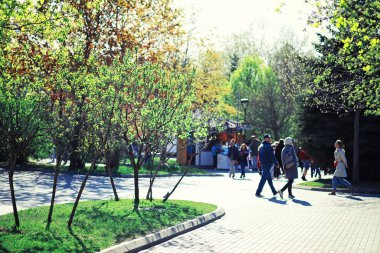 Parlak bahar, şafakta ormanda yeşilleniyor. Doğa ilkbaharın başlarında canlanır..