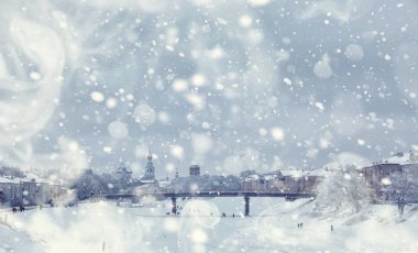 Kış orman manzarası. Kar altında uzun ağaçlar. Ocak 1