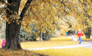 Gözlüklü genç bir adam parkta şemsiyeyle yürür.