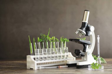 Mikroskop ve test bölümleri laboratuvardaki masanın üzerinde..