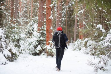 Bir adam sırt çantasıyla seyahat eder. Ormanda kış yürüyüşü. Touris