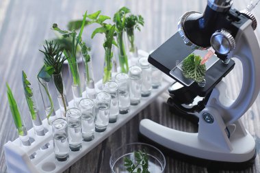 Mikroskop ve test bölümleri laboratuvardaki masanın üzerinde..