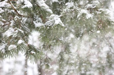 Kırsal alanların ve yolların kış manzarası