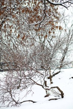 Kırsal alanların ve yolların kış manzarası