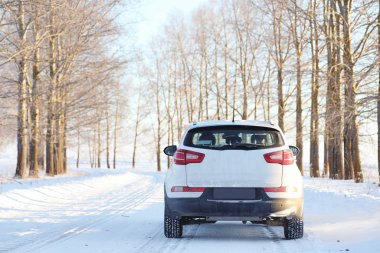 Yol karla kaplı vahşi ile kış ormandaki manzara