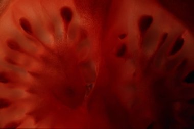 Kırmızı domates tohumları doku ile ikiye böldüm