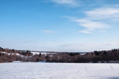 Kış orman manzarası. Kar altında uzun ağaçlar. Ocak 1
