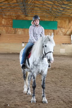 İnsanlar ahşap bir arenada at eğitiminde.