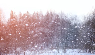 Kış manzara kar expanses kaplı. Kışın bir parkta 