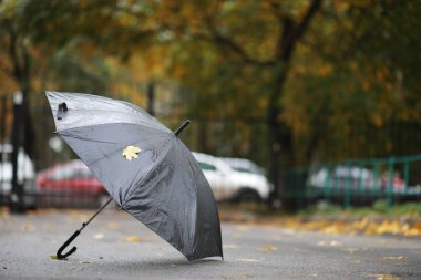 Parkta sonbahar arka plan