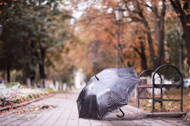 Ekim ayında sonbahar yağmurlu park