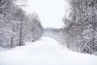 Kış bulutlu günde manzara