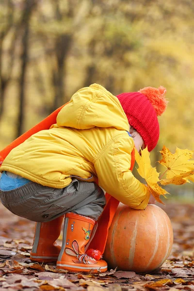 Les enfants marchent dans la nature. Les enfants du crépuscule se promènent — Photo