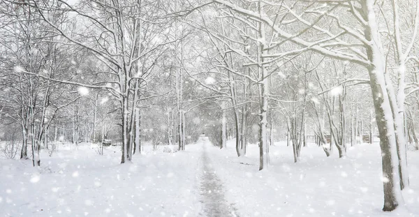 Zimowy park pod śniegiem. Burza śnieżna w parku miejskim. Park f — Zdjęcie stockowe