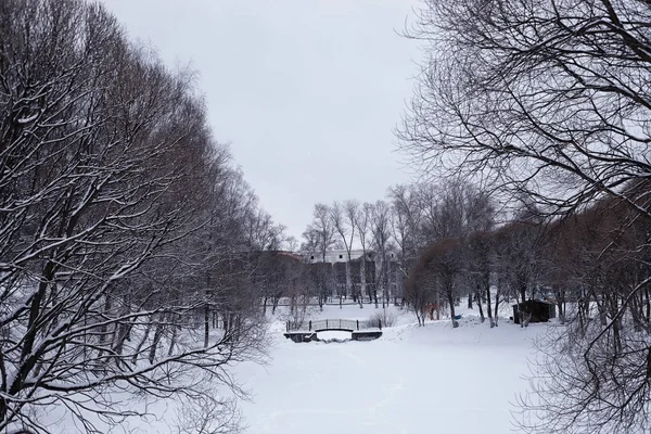 冬季森林景观。 积雪覆盖下的高大的树。 一月fr — 图库照片