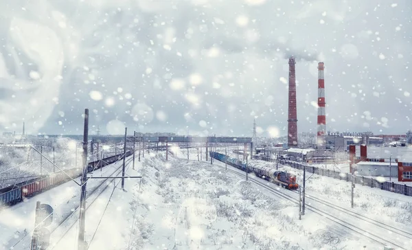 冬の森の風景。雪に覆われた背の高い木。１月 — ストック写真