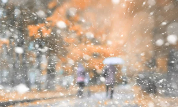 最初の雪の背景秋の公園 — ストック写真