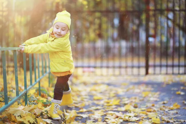 Barn gå i höst Park — Stockfoto