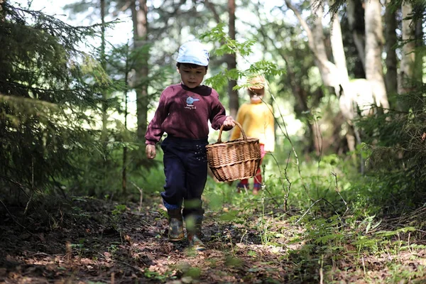 Dzieci idą do lasu po grzyby. — Zdjęcie stockowe