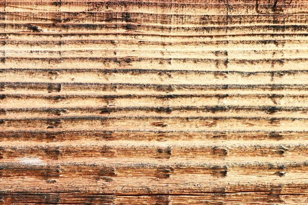 Textura de una viga de madera de abedul —  Fotos de Stock