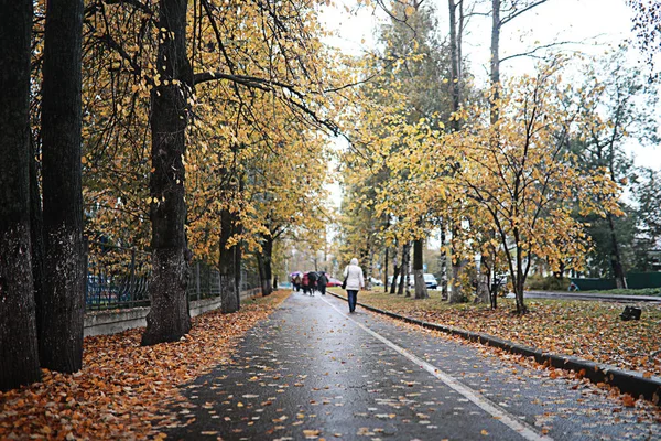 Herbstregen im Park — Stockfoto