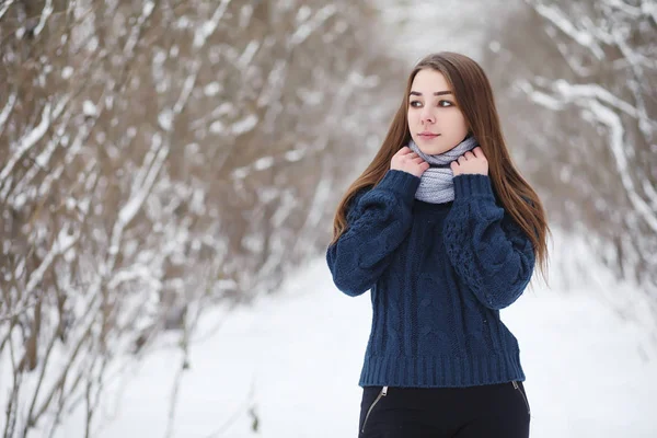 Egy fiatal lány, egy téli parkban sétálni. Karácsonyi ünnepek-t — Stock Fotó