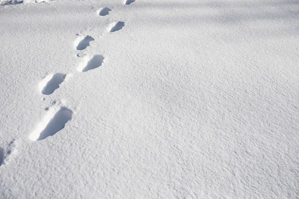 The texture of the snow. Winter rainfall. Tracks on a snowy road — Stock Photo, Image