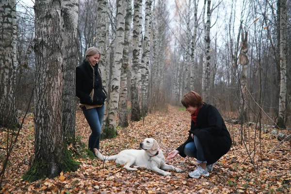 Tonårstjej Med Mamma Hundpromenad Höstträdgården — Stockfoto