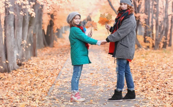 Ragazza in autunno parco cittadino in foglia caduta. Giovane bella madre wi — Foto Stock