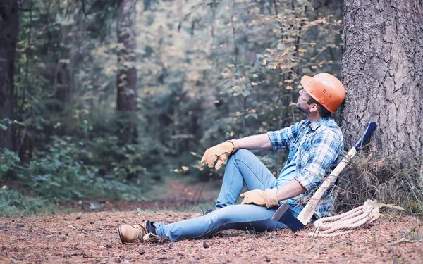 Ormandaki erkek oduncu. Profesyonel bir oduncu teftişi.