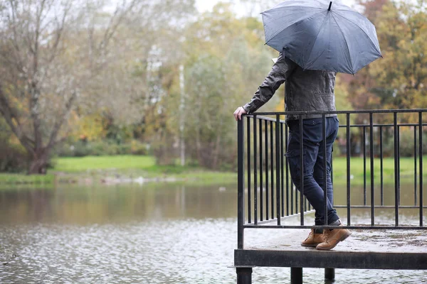 Őszi háttér a parkban — Stock Fotó