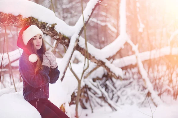 산책에 겨울 공원에서 젊은 여자. T에 크리스마스 휴일 — 스톡 사진