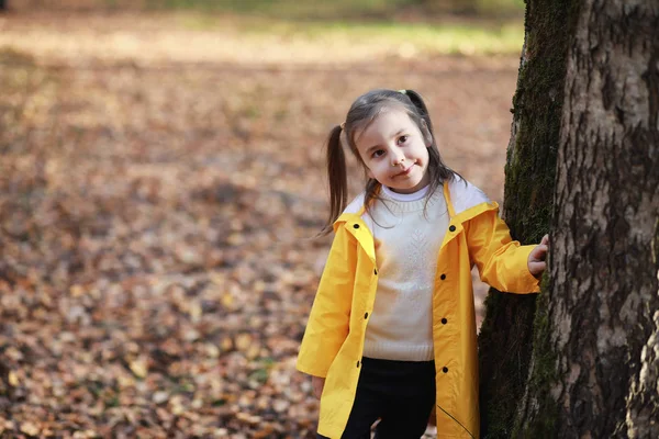 Los niños caminan en el parque de otoño — Foto de Stock