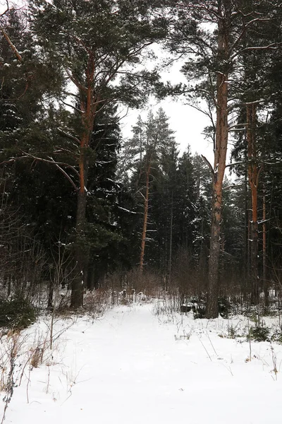 Kırsal alanların ve yolların kış manzarası — Stok fotoğraf