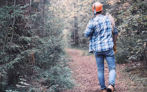 Boscaiolo maschio nella foresta. Ispezione di un taglialegna professionale — Foto Stock