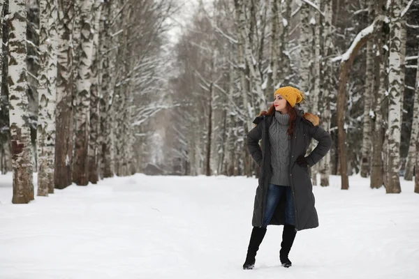 Menina bonita em um belo parque de inverno — Fotografia de Stock