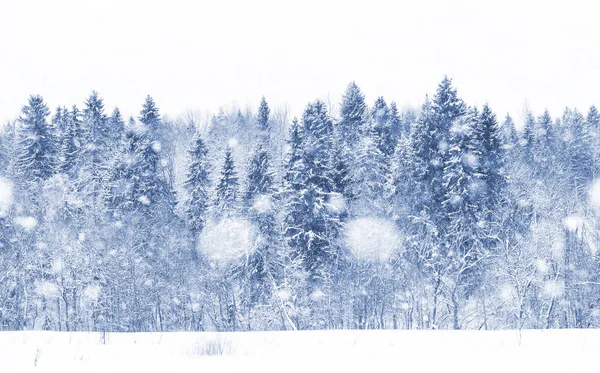 Landschaft am Wintertag — Stockfoto