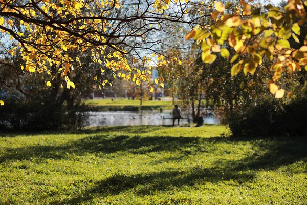 Fundo de outono no parque — Fotografia de Stock