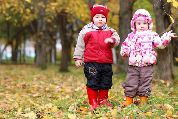 秋の公園を散歩している子供たちは — ストック写真