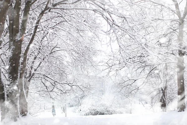 Paesaggio invernale. Foresta sotto la neve. Inverno nel parco . — Foto Stock