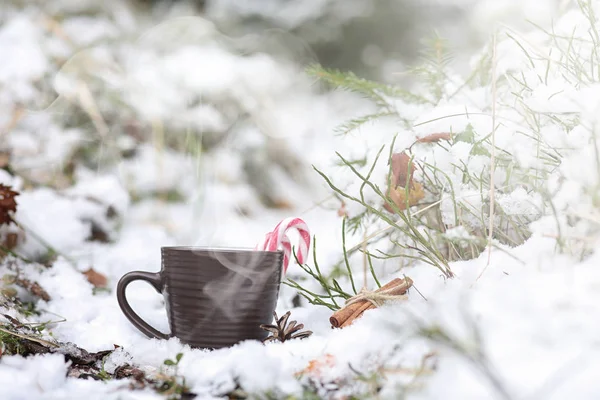 A cup with a hot drink in the winter forest. Hot cocoa with cinn — Stock Photo, Image